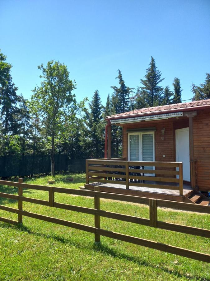 Chalet 4 Personnes *